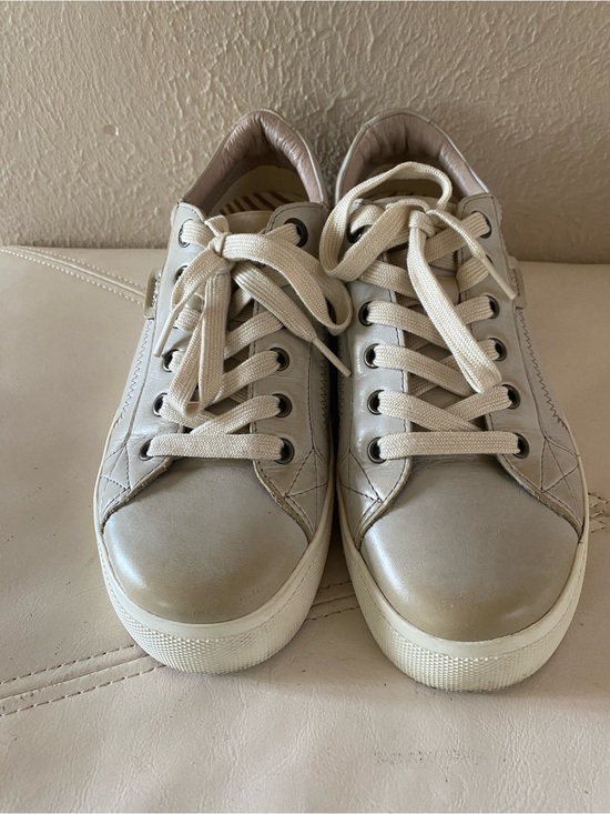 Taos Footwear Shoes - Taos Leather Sneakers Plim Soul Lux Oyster Gray Taupe Neutral Size 9.5